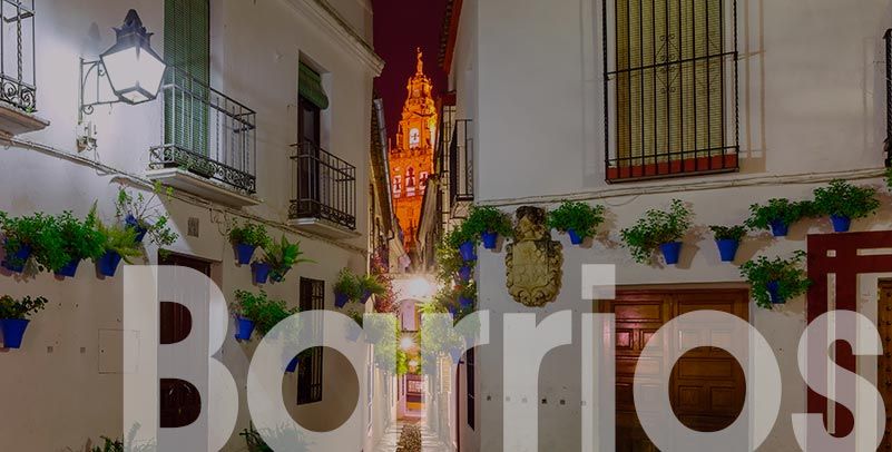 imagen decorativa