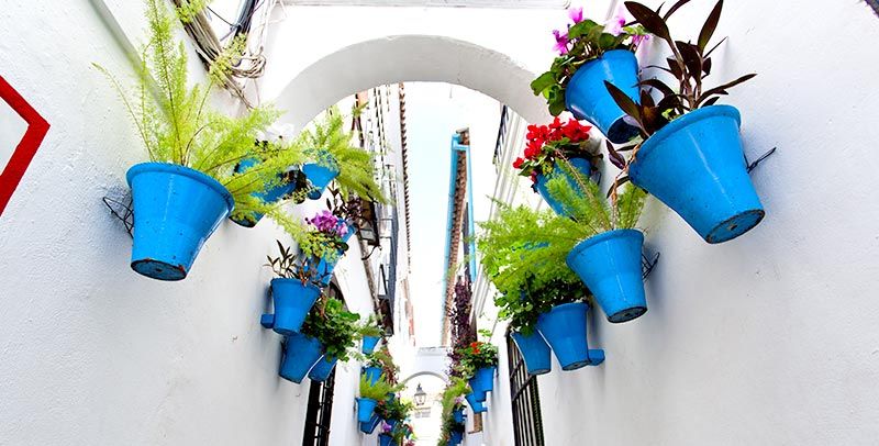 Panorámica calleja de las flores