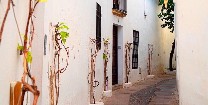 Panorámica calleja del pañuelo