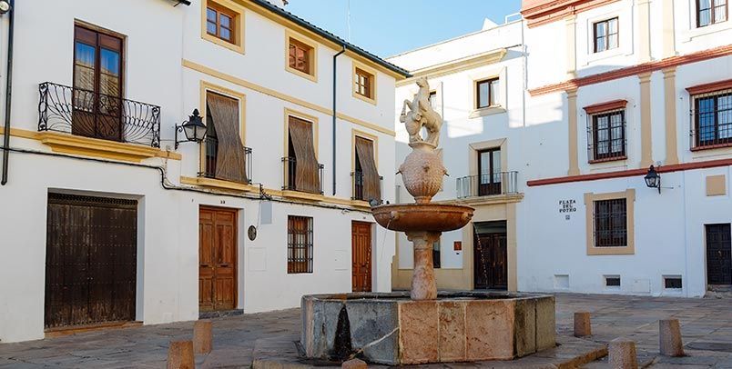 Panorámica del museo del potro