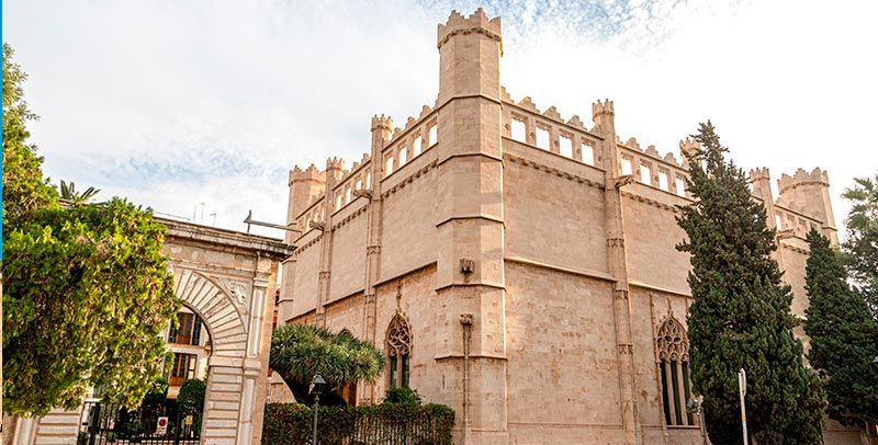 Panorámica de la lonja de palma