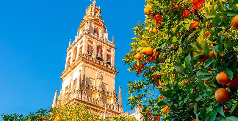 Panorámica de la giralda