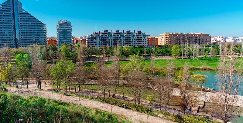 Panorámica de parque de cabecera